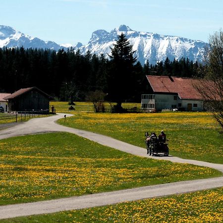 Haus Allgaeu Ruh Apartamento Görisried Quarto foto
