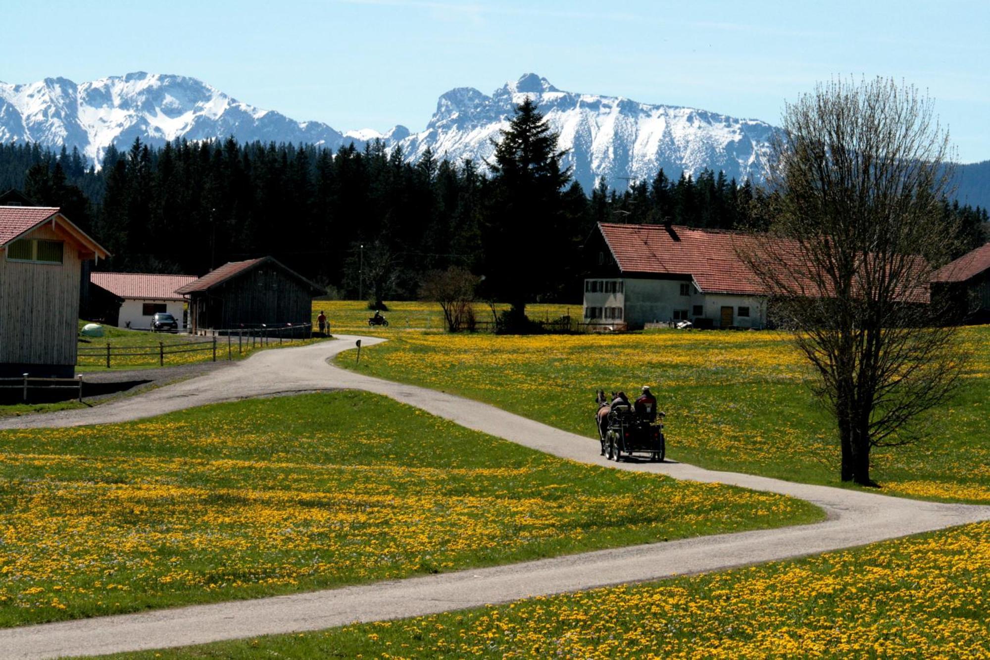 Haus Allgaeu Ruh Apartamento Görisried Quarto foto
